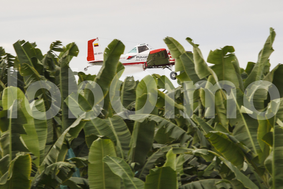 Sprühflugzeug über einer Bananenplantage in Ecuador
